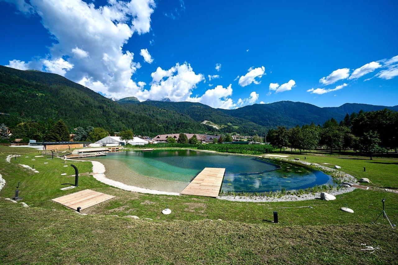 Chalet Mountain Plaza - Apt Greenvalley Pinzolo Luaran gambar