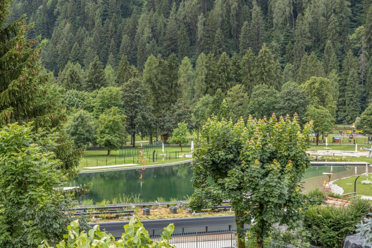 Chalet Mountain Plaza - Apt Greenvalley Pinzolo Luaran gambar